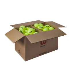 Wilson Triniti Club 72er Ballbox Tennisbälle